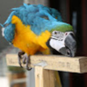 Meet your Posher, Andrew